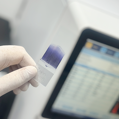 Logo Galilei Veterinária