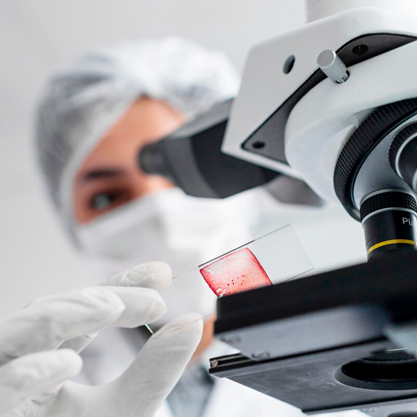 Logo Galilei Veterinária